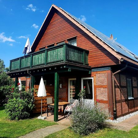 Ferienhaus Sasse Ferienwohnungen Mit Garten & Grill Molschow Екстериор снимка