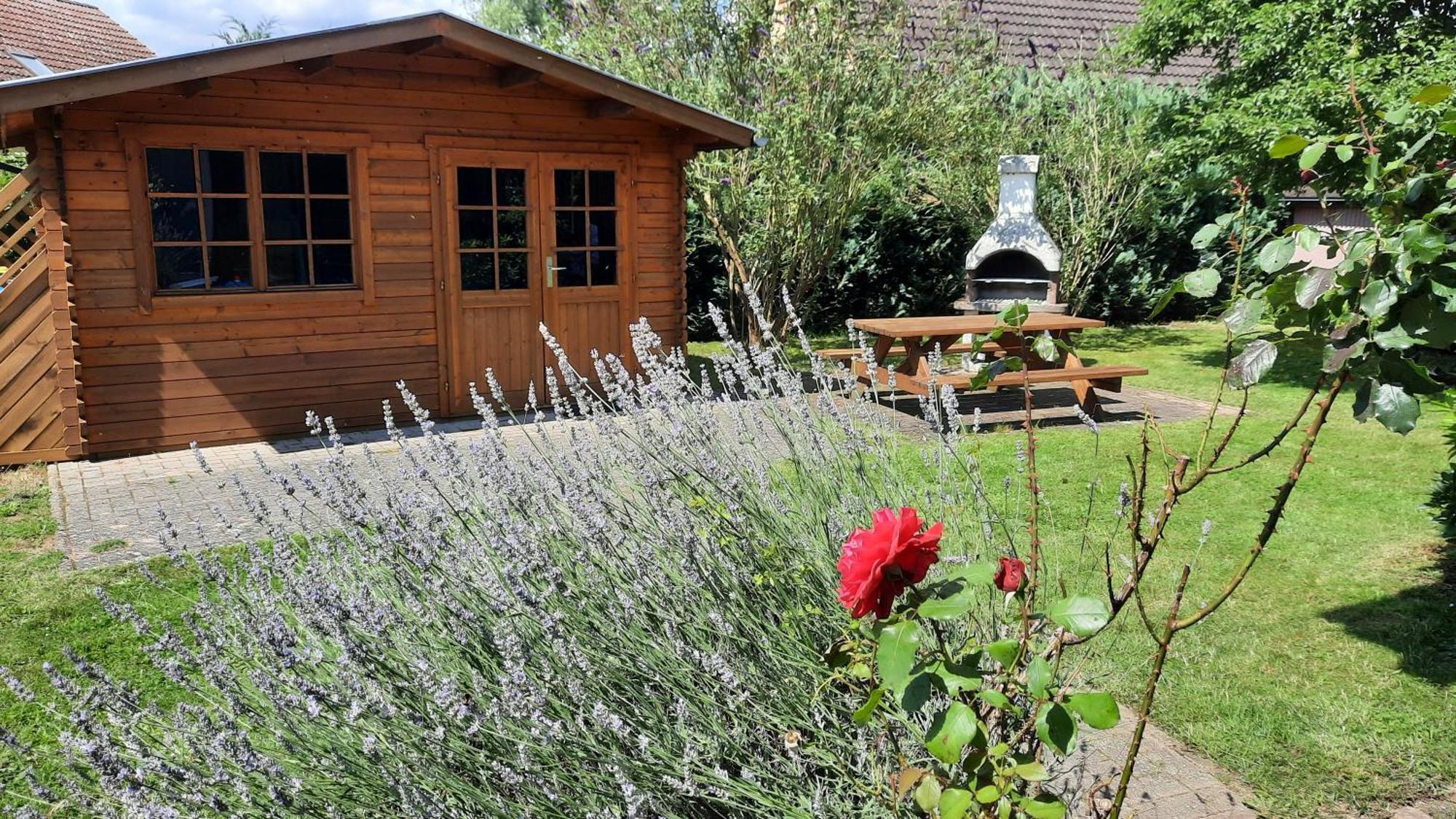 Ferienhaus Sasse Ferienwohnungen Mit Garten & Grill Molschow Екстериор снимка